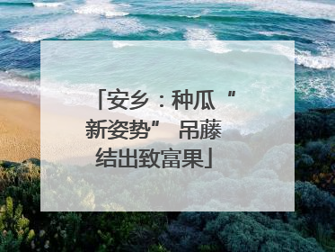 安乡：种瓜“新姿势” 吊藤结出致富果