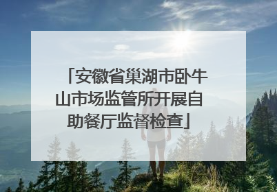 安徽省巢湖市卧牛山市场监管所开展自助餐厅监督检查