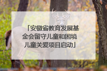 安徽省教育发展基金会留守儿童和困境儿童关爱项目启动