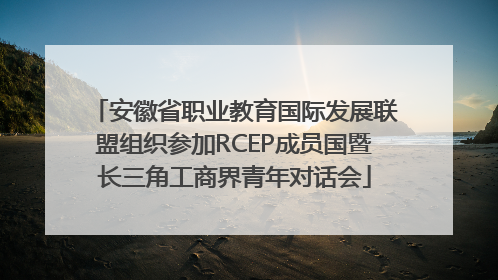 安徽省职业教育国际发展联盟组织参加RCEP成员国暨长三角工商界青年对话会