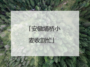 安徽埇桥小麦收割忙