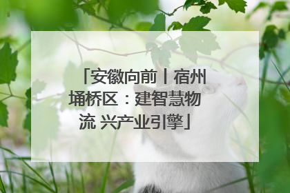 安徽向前丨宿州埇桥区：建智慧物流 兴产业引擎