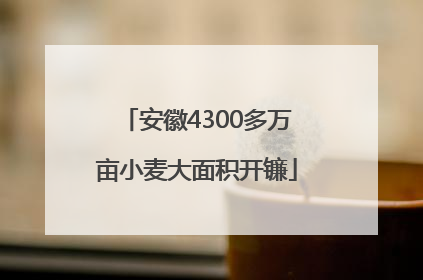 安徽4300多万亩小麦大面积开镰
