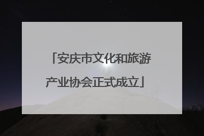 安庆市文化和旅游产业协会正式成立