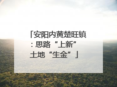 安阳内黄楚旺镇：思路“上新” 土地“生金”