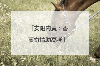 安阳内黄：香囊寄情助高考