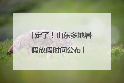 定了！山东多地暑假放假时间公布