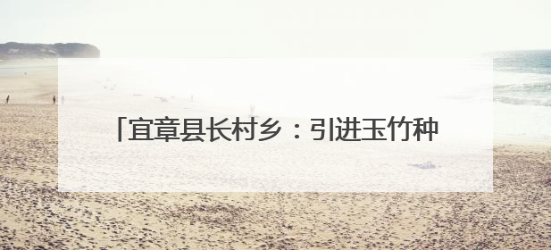 宜章县长村乡：引进玉竹种植 激活乡村振兴新动能