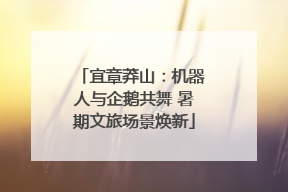 宜章莽山：机器人与企鹅共舞 暑期文旅场景焕新