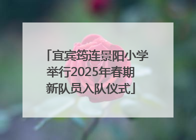 宜宾筠连景阳小学举行2025年春期新队员入队仪式