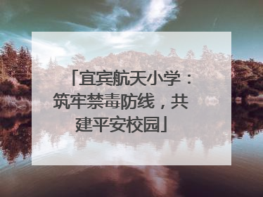 宜宾航天小学：筑牢禁毒防线，共建平安校园