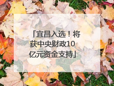 宜昌入选！将获中央财政10亿元资金支持