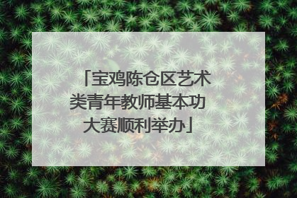宝鸡陈仓区艺术类青年教师基本功大赛顺利举办