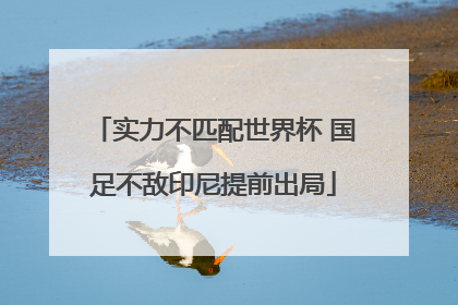 实力不匹配世界杯 国足不敌印尼提前出局