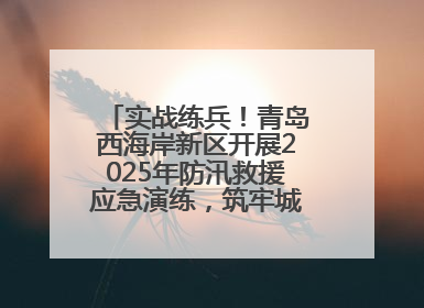 实战练兵！青岛西海岸新区开展2025年防汛救援应急演练，筑牢城市安全防线