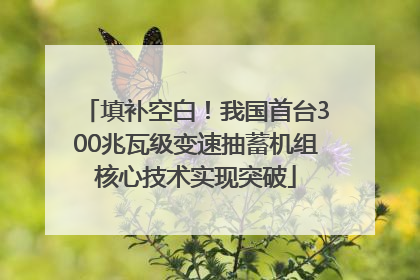 填补空白！我国首台300兆瓦级变速抽蓄机组核心技术实现突破