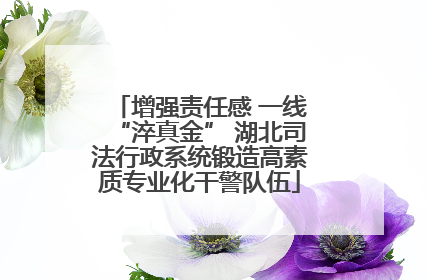 增强责任感 一线“淬真金” 湖北司法行政系统锻造高素质专业化干警队伍