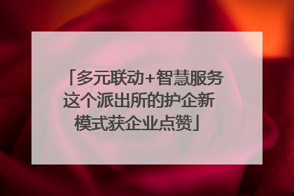 多元联动+智慧服务 这个派出所的护企新模式获企业点赞