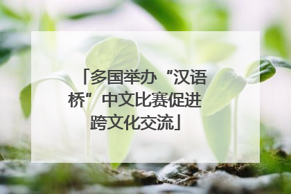 多国举办“汉语桥”中文比赛促进跨文化交流