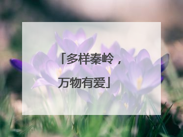 多样秦岭，万物有爱