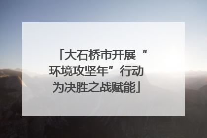 大石桥市开展“环境攻坚年”行动为决胜之战赋能