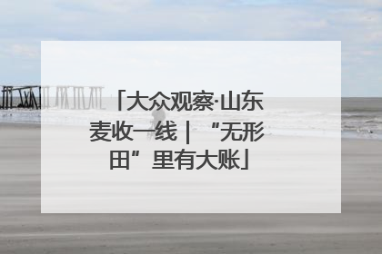 大众观察·山东麦收一线｜“无形田”里有大账