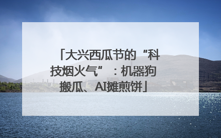 大兴西瓜节的“科技烟火气”：机器狗搬瓜、AI摊煎饼