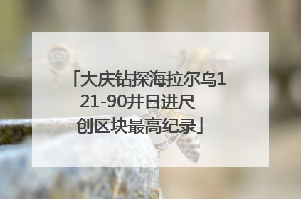 大庆钻探海拉尔乌121-90井日进尺 创区块最高纪录