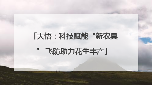 大悟：科技赋能“新农具” 飞防助力花生丰产
