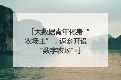 大数据青年化身“农场主”，返乡开设“数字农场”