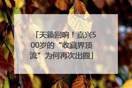 天籁回响！嘉兴500岁的“收藏界顶流”为何再次出圈