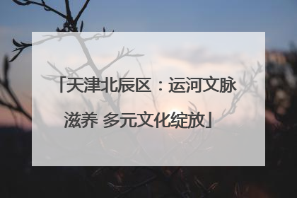 天津北辰区：运河文脉滋养 多元文化绽放
