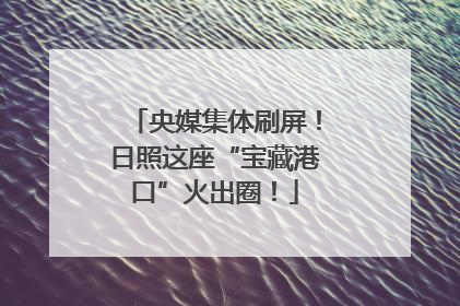 央媒集体刷屏！日照这座“宝藏港口”火出圈！