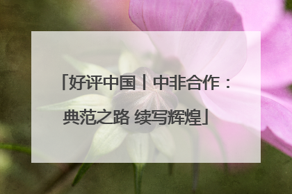 好评中国丨中非合作：典范之路 续写辉煌