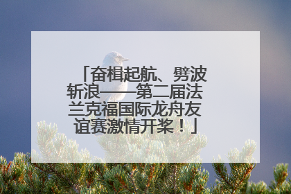 奋楫起航、劈波斩浪——第二届法兰克福国际龙舟友谊赛激情开桨！