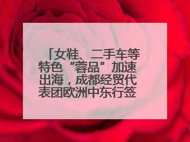 女鞋、二手车等特色“蓉品”加速出海，成都经贸代表团欧洲中东行签单逾3.7亿元