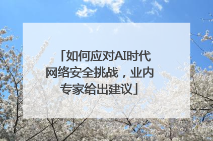 如何应对AI时代网络安全挑战，业内专家给出建议