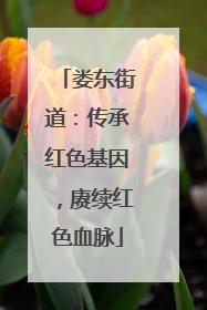 娄东街道：传承红色基因，赓续红色血脉