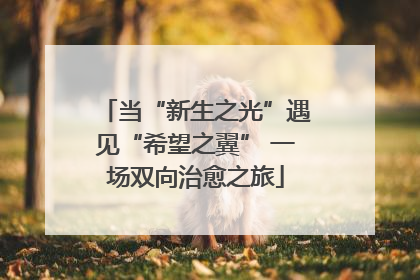 当“新生之光”遇见“希望之翼” 一场双向治愈之旅