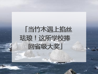 当竹木遇上掐丝珐琅！这所学校捧回省级大奖