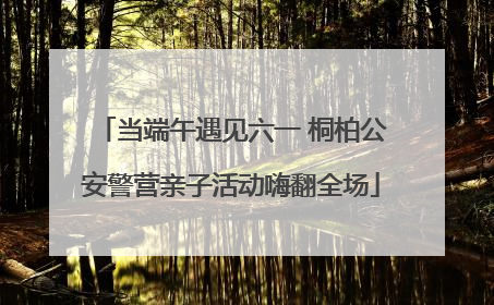 当端午遇见六一 桐柏公安警营亲子活动嗨翻全场