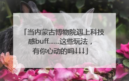 当内蒙古博物院遇上科技感buff……这些玩法，有你心动的吗↓↓↓