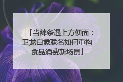 当辣条遇上方便面：卫龙白象联名如何重构食品消费新场景