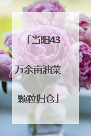 当阳43万余亩油菜颗粒归仓