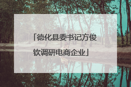 德化县委书记方俊钦调研电商企业