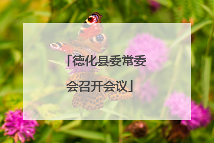 德化县委常委会召开会议