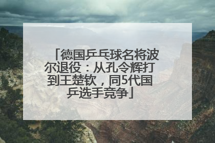德国乒乓球名将波尔退役：从孔令辉打到王楚钦，同5代国乒选手竞争