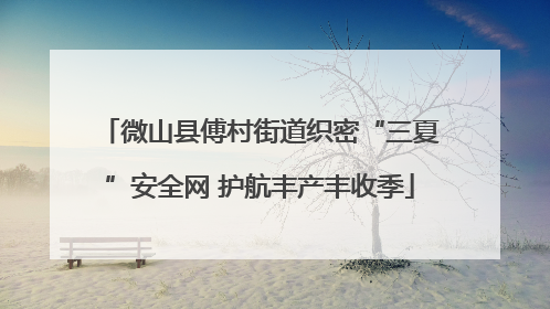 微山县傅村街道织密“三夏”安全网 护航丰产丰收季