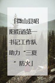微山县昭阳街道第一书记工作队助力“三夏”防火