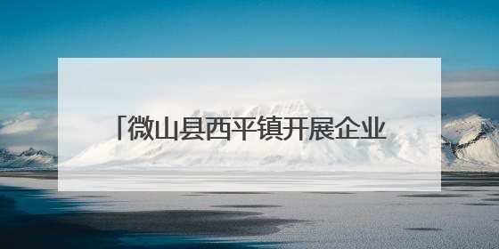 微山县西平镇开展企业安全生产大检查行动